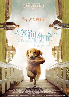 www.五月天激情