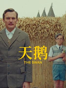 精品一区二区在线观看1080p